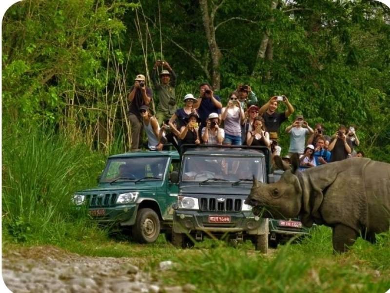 Discover Chitwan